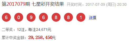 澳门彩票的未来展望，参数释义与开奖号码的落实（2025年澳门今晚开奖号码分析）