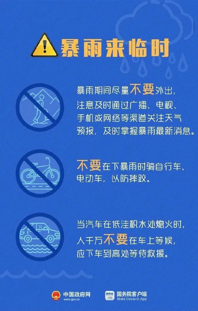 新澳2025今晚开奖资料四不像，完备释义解释与落实