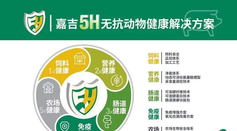 探索未来，2025新奥正版资料最精准免费大全与净化的实践之路