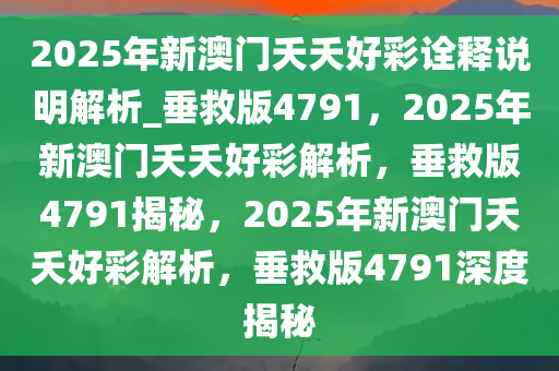 新澳门2025年夭夭好彩，权重释义、解释及实施策略