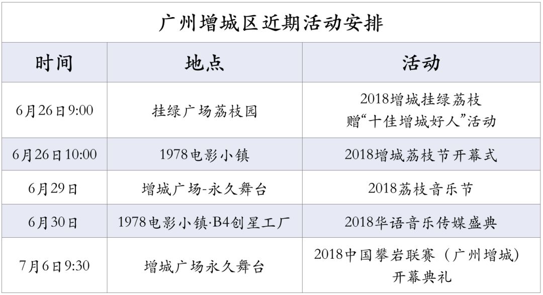 探索未知，澳码的魅力与果断释义解释落实的重要性