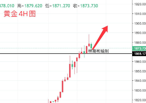 解析新澳未来走向与落实策略，走向2025的蓝图