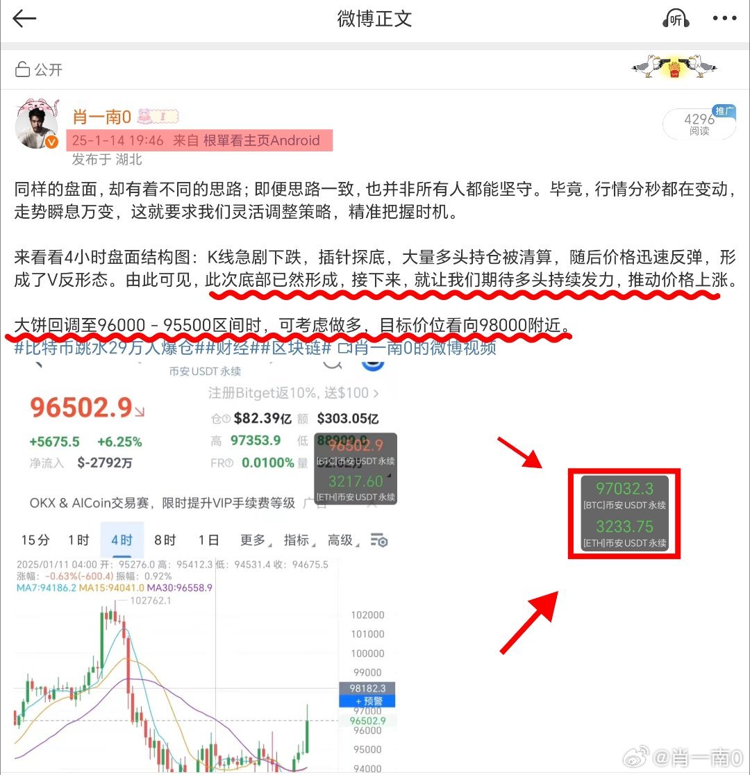 精准一肖一码，揭秘准确预测的秘密与落实事无巨细的解释