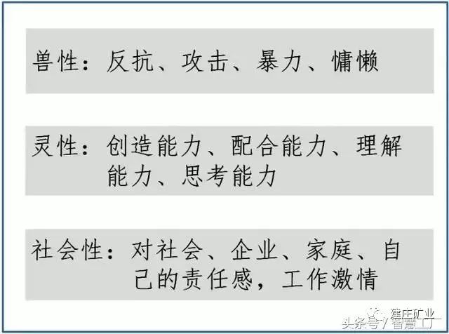 探索心智奥秘，三肖必中特三肖三码的答案与心智释义解释落实