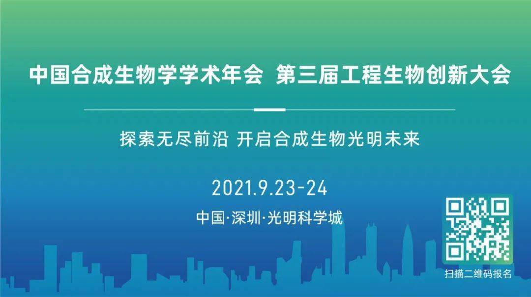 探索澳门未来，2025新澳门正版免费资讯与断定释义的落实