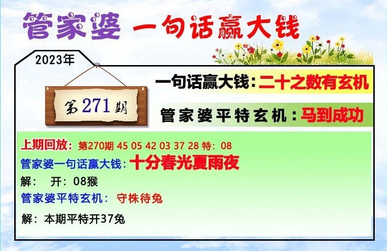 管家婆一肖一码，释义、解释与落实的探讨