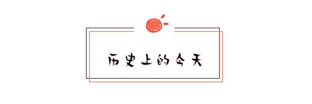 澳门一码一肖一恃一中354期，彻底释义解释与落实