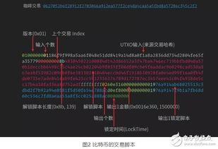 探索与解读，关于天天彩正版免费资料的深入解析与实际应用