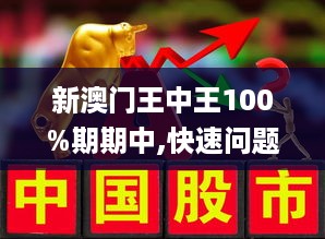 新澳门王中王期期中与外包释义解释落实的综合探讨