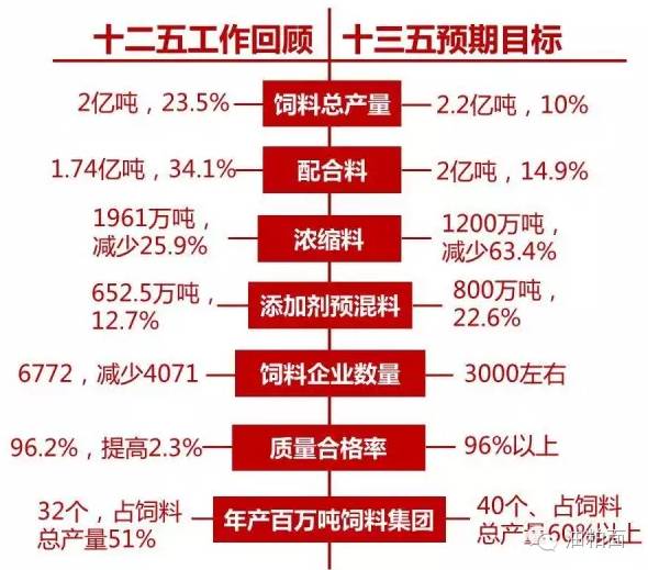 探索未来彩票世界，天天彩精准资料量入释义与落实策略