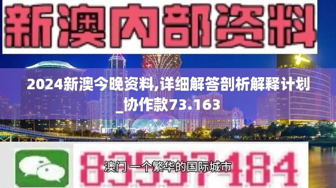 新澳2025年最快最新资料解析与专属释义落实策略