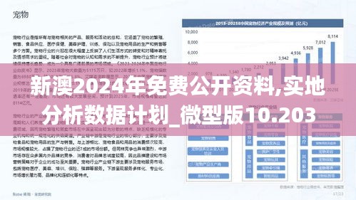 新澳准资料免费提供，简明释义、解释及落实