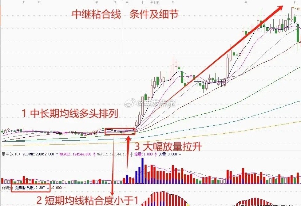 最准一肖一码一一中特，揭秘背后的逻辑与实现路径