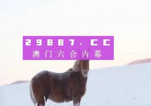 今晚澳门必中一肖一码适囗务目，实现释义解释落实的重要性与策略